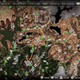 The difference is almost all of those icons signify fighting huge robotic animals. (image downloaded from:http://www.accelerated-ideas.com/horizonzerodawn/complete-world-map-machine-sites-campfires-merchants.aspx